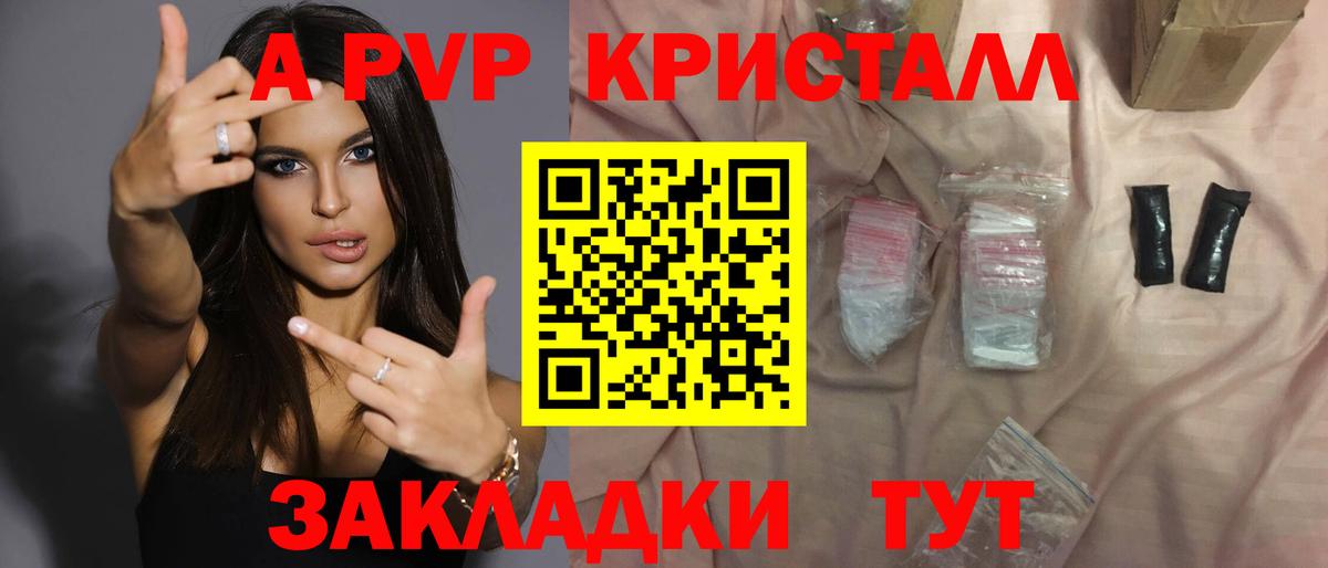 Альфа ПВП СК Мурманск