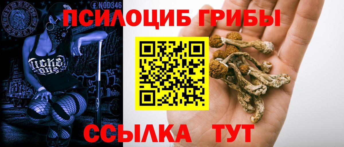 Псилоцибиновые грибы мухоморы Мурманск